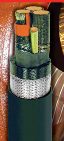 37105365BSGX - 373 KCMIL 3/C + GND 15KV 133PCT 
SHLD A&amp;S
Cu Wt: 5.71348 Kg/Mt 
Cable Wt: 12.57379